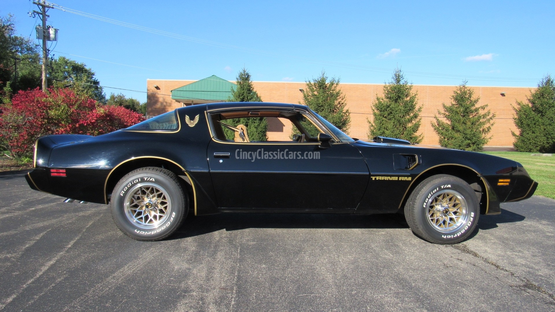 1979 S.E. Trans Am Y84 4 Speed 65K SOLD Cincy Classic Cars