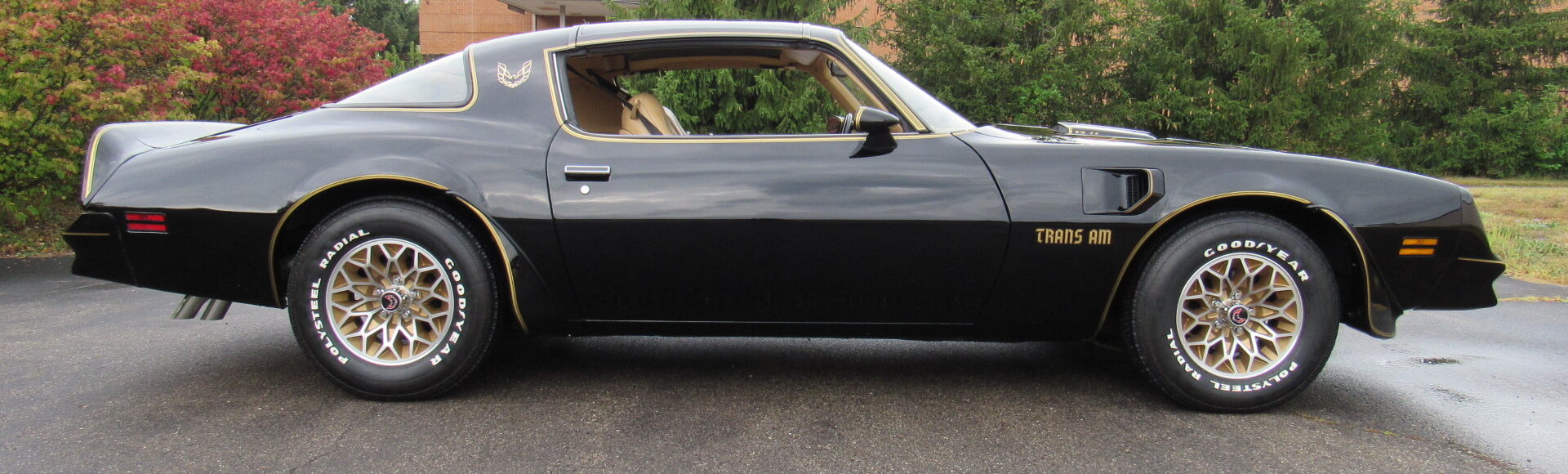 1977 Pontiac TA SE, 4 Speed, W72, 45K Miles